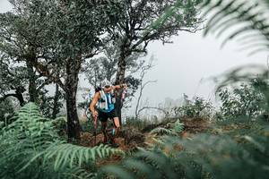 BIB: 
                            <button type="button" onclick="openModal(25327546)" class="btn btn-primary btn-sm float-right btn-popup" data-toggle="modal" data-target=".modal-high-quality">
                        <i class="fas fa-shopping-cart"></i> Add to Cart
                    </button>
                                            <button type="button" onclick="isThisMe(25327546, true)" class="btn btn-success btn-sm float-right btn-popup btn-isme hidden" data-toggle="tooltip" data-placement="bottom" title="นี่คือรูปของคุณใช่ไหม คลิกที่นี่เพื่อเอาเข้าอัลบั้ม">
                        <i class="fas fa-plus"></i> Add to album
                    </button>
                    <button type="button" onclick="isThisMe(25327546, false)" class="btn btn-warning btn-sm float-right btn-popup btn-isnotme hidden">
                        <i class="fas fa-ban"></i> Remove from album
                    </button>