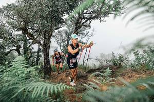 BIB: 
                            <button type="button" onclick="openModal(25327855)" class="btn btn-primary btn-sm float-right btn-popup" data-toggle="modal" data-target=".modal-high-quality">
                        <i class="fas fa-shopping-cart"></i> Add to Cart
                    </button>
                                            <button type="button" onclick="isThisMe(25327855, true)" class="btn btn-success btn-sm float-right btn-popup btn-isme hidden" data-toggle="tooltip" data-placement="bottom" title="นี่คือรูปของคุณใช่ไหม คลิกที่นี่เพื่อเอาเข้าอัลบั้ม">
                        <i class="fas fa-plus"></i> Add to album
                    </button>
                    <button type="button" onclick="isThisMe(25327855, false)" class="btn btn-warning btn-sm float-right btn-popup btn-isnotme hidden">
                        <i class="fas fa-ban"></i> Remove from album
                    </button>