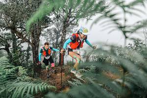 BIB: 
                            <button type="button" onclick="openModal(25327904)" class="btn btn-primary btn-sm float-right btn-popup" data-toggle="modal" data-target=".modal-high-quality">
                        <i class="fas fa-shopping-cart"></i> Add to Cart
                    </button>
                                            <button type="button" onclick="isThisMe(25327904, true)" class="btn btn-success btn-sm float-right btn-popup btn-isme hidden" data-toggle="tooltip" data-placement="bottom" title="นี่คือรูปของคุณใช่ไหม คลิกที่นี่เพื่อเอาเข้าอัลบั้ม">
                        <i class="fas fa-plus"></i> Add to album
                    </button>
                    <button type="button" onclick="isThisMe(25327904, false)" class="btn btn-warning btn-sm float-right btn-popup btn-isnotme hidden">
                        <i class="fas fa-ban"></i> Remove from album
                    </button>