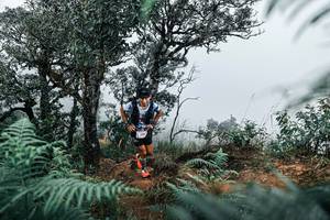 BIB: 
                            <button type="button" onclick="openModal(25327217)" class="btn btn-primary btn-sm float-right btn-popup" data-toggle="modal" data-target=".modal-high-quality">
                        <i class="fas fa-shopping-cart"></i> Add to Cart
                    </button>
                                            <button type="button" onclick="isThisMe(25327217, true)" class="btn btn-success btn-sm float-right btn-popup btn-isme hidden" data-toggle="tooltip" data-placement="bottom" title="นี่คือรูปของคุณใช่ไหม คลิกที่นี่เพื่อเอาเข้าอัลบั้ม">
                        <i class="fas fa-plus"></i> Add to album
                    </button>
                    <button type="button" onclick="isThisMe(25327217, false)" class="btn btn-warning btn-sm float-right btn-popup btn-isnotme hidden">
                        <i class="fas fa-ban"></i> Remove from album
                    </button>