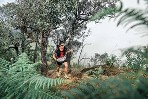 BIB: 
                            <button type="button" onclick="openModal(25326281)" class="btn btn-primary btn-sm float-right btn-popup" data-toggle="modal" data-target=".modal-high-quality">
                        <i class="fas fa-shopping-cart"></i> Add to Cart
                    </button>
                                            <button type="button" onclick="isThisMe(25326281, true)" class="btn btn-success btn-sm float-right btn-popup btn-isme hidden" data-toggle="tooltip" data-placement="bottom" title="นี่คือรูปของคุณใช่ไหม คลิกที่นี่เพื่อเอาเข้าอัลบั้ม">
                        <i class="fas fa-plus"></i> Add to album
                    </button>
                    <button type="button" onclick="isThisMe(25326281, false)" class="btn btn-warning btn-sm float-right btn-popup btn-isnotme hidden">
                        <i class="fas fa-ban"></i> Remove from album
                    </button>