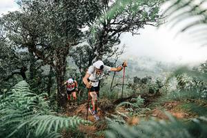 BIB: 
                            <button type="button" onclick="openModal(25326113)" class="btn btn-primary btn-sm float-right btn-popup" data-toggle="modal" data-target=".modal-high-quality">
                        <i class="fas fa-shopping-cart"></i> Add to Cart
                    </button>
                                            <button type="button" onclick="isThisMe(25326113, true)" class="btn btn-success btn-sm float-right btn-popup btn-isme hidden" data-toggle="tooltip" data-placement="bottom" title="นี่คือรูปของคุณใช่ไหม คลิกที่นี่เพื่อเอาเข้าอัลบั้ม">
                        <i class="fas fa-plus"></i> Add to album
                    </button>
                    <button type="button" onclick="isThisMe(25326113, false)" class="btn btn-warning btn-sm float-right btn-popup btn-isnotme hidden">
                        <i class="fas fa-ban"></i> Remove from album
                    </button>