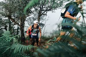 BIB: 
                            <button type="button" onclick="openModal(25328141)" class="btn btn-primary btn-sm float-right btn-popup" data-toggle="modal" data-target=".modal-high-quality">
                        <i class="fas fa-shopping-cart"></i> Add to Cart
                    </button>
                                            <button type="button" onclick="isThisMe(25328141, true)" class="btn btn-success btn-sm float-right btn-popup btn-isme hidden" data-toggle="tooltip" data-placement="bottom" title="นี่คือรูปของคุณใช่ไหม คลิกที่นี่เพื่อเอาเข้าอัลบั้ม">
                        <i class="fas fa-plus"></i> Add to album
                    </button>
                    <button type="button" onclick="isThisMe(25328141, false)" class="btn btn-warning btn-sm float-right btn-popup btn-isnotme hidden">
                        <i class="fas fa-ban"></i> Remove from album
                    </button>