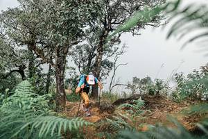 BIB: 
                            <button type="button" onclick="openModal(25326149)" class="btn btn-primary btn-sm float-right btn-popup" data-toggle="modal" data-target=".modal-high-quality">
                        <i class="fas fa-shopping-cart"></i> Add to Cart
                    </button>
                                            <button type="button" onclick="isThisMe(25326149, true)" class="btn btn-success btn-sm float-right btn-popup btn-isme hidden" data-toggle="tooltip" data-placement="bottom" title="นี่คือรูปของคุณใช่ไหม คลิกที่นี่เพื่อเอาเข้าอัลบั้ม">
                        <i class="fas fa-plus"></i> Add to album
                    </button>
                    <button type="button" onclick="isThisMe(25326149, false)" class="btn btn-warning btn-sm float-right btn-popup btn-isnotme hidden">
                        <i class="fas fa-ban"></i> Remove from album
                    </button>