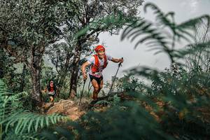 BIB: 
                            <button type="button" onclick="openModal(25326274)" class="btn btn-primary btn-sm float-right btn-popup" data-toggle="modal" data-target=".modal-high-quality">
                        <i class="fas fa-shopping-cart"></i> Add to Cart
                    </button>
                                            <button type="button" onclick="isThisMe(25326274, true)" class="btn btn-success btn-sm float-right btn-popup btn-isme hidden" data-toggle="tooltip" data-placement="bottom" title="นี่คือรูปของคุณใช่ไหม คลิกที่นี่เพื่อเอาเข้าอัลบั้ม">
                        <i class="fas fa-plus"></i> Add to album
                    </button>
                    <button type="button" onclick="isThisMe(25326274, false)" class="btn btn-warning btn-sm float-right btn-popup btn-isnotme hidden">
                        <i class="fas fa-ban"></i> Remove from album
                    </button>