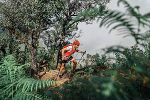 BIB: 
                            <button type="button" onclick="openModal(25326273)" class="btn btn-primary btn-sm float-right btn-popup" data-toggle="modal" data-target=".modal-high-quality">
                        <i class="fas fa-shopping-cart"></i> Add to Cart
                    </button>
                                            <button type="button" onclick="isThisMe(25326273, true)" class="btn btn-success btn-sm float-right btn-popup btn-isme hidden" data-toggle="tooltip" data-placement="bottom" title="นี่คือรูปของคุณใช่ไหม คลิกที่นี่เพื่อเอาเข้าอัลบั้ม">
                        <i class="fas fa-plus"></i> Add to album
                    </button>
                    <button type="button" onclick="isThisMe(25326273, false)" class="btn btn-warning btn-sm float-right btn-popup btn-isnotme hidden">
                        <i class="fas fa-ban"></i> Remove from album
                    </button>