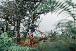 BIB: 
                            <button type="button" onclick="openModal(25326511)" class="btn btn-primary btn-sm float-right btn-popup" data-toggle="modal" data-target=".modal-high-quality">
                        <i class="fas fa-shopping-cart"></i> Add to Cart
                    </button>
                                            <button type="button" onclick="isThisMe(25326511, true)" class="btn btn-success btn-sm float-right btn-popup btn-isme hidden" data-toggle="tooltip" data-placement="bottom" title="นี่คือรูปของคุณใช่ไหม คลิกที่นี่เพื่อเอาเข้าอัลบั้ม">
                        <i class="fas fa-plus"></i> Add to album
                    </button>
                    <button type="button" onclick="isThisMe(25326511, false)" class="btn btn-warning btn-sm float-right btn-popup btn-isnotme hidden">
                        <i class="fas fa-ban"></i> Remove from album
                    </button>