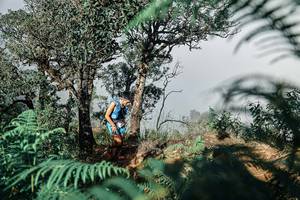 BIB: 
                            <button type="button" onclick="openModal(25327440)" class="btn btn-primary btn-sm float-right btn-popup" data-toggle="modal" data-target=".modal-high-quality">
                        <i class="fas fa-shopping-cart"></i> Add to Cart
                    </button>
                                            <button type="button" onclick="isThisMe(25327440, true)" class="btn btn-success btn-sm float-right btn-popup btn-isme hidden" data-toggle="tooltip" data-placement="bottom" title="นี่คือรูปของคุณใช่ไหม คลิกที่นี่เพื่อเอาเข้าอัลบั้ม">
                        <i class="fas fa-plus"></i> Add to album
                    </button>
                    <button type="button" onclick="isThisMe(25327440, false)" class="btn btn-warning btn-sm float-right btn-popup btn-isnotme hidden">
                        <i class="fas fa-ban"></i> Remove from album
                    </button>