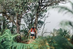 BIB: 
                            <button type="button" onclick="openModal(25326628)" class="btn btn-primary btn-sm float-right btn-popup" data-toggle="modal" data-target=".modal-high-quality">
                        <i class="fas fa-shopping-cart"></i> Add to Cart
                    </button>
                                            <button type="button" onclick="isThisMe(25326628, true)" class="btn btn-success btn-sm float-right btn-popup btn-isme hidden" data-toggle="tooltip" data-placement="bottom" title="นี่คือรูปของคุณใช่ไหม คลิกที่นี่เพื่อเอาเข้าอัลบั้ม">
                        <i class="fas fa-plus"></i> Add to album
                    </button>
                    <button type="button" onclick="isThisMe(25326628, false)" class="btn btn-warning btn-sm float-right btn-popup btn-isnotme hidden">
                        <i class="fas fa-ban"></i> Remove from album
                    </button>