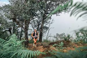 BIB: 
                            <button type="button" onclick="openModal(25326298)" class="btn btn-primary btn-sm float-right btn-popup" data-toggle="modal" data-target=".modal-high-quality">
                        <i class="fas fa-shopping-cart"></i> Add to Cart
                    </button>
                                            <button type="button" onclick="isThisMe(25326298, true)" class="btn btn-success btn-sm float-right btn-popup btn-isme hidden" data-toggle="tooltip" data-placement="bottom" title="นี่คือรูปของคุณใช่ไหม คลิกที่นี่เพื่อเอาเข้าอัลบั้ม">
                        <i class="fas fa-plus"></i> Add to album
                    </button>
                    <button type="button" onclick="isThisMe(25326298, false)" class="btn btn-warning btn-sm float-right btn-popup btn-isnotme hidden">
                        <i class="fas fa-ban"></i> Remove from album
                    </button>