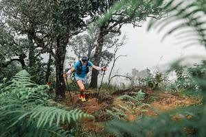 BIB: 
                            <button type="button" onclick="openModal(25327778)" class="btn btn-primary btn-sm float-right btn-popup" data-toggle="modal" data-target=".modal-high-quality">
                        <i class="fas fa-shopping-cart"></i> Add to Cart
                    </button>
                                            <button type="button" onclick="isThisMe(25327778, true)" class="btn btn-success btn-sm float-right btn-popup btn-isme hidden" data-toggle="tooltip" data-placement="bottom" title="นี่คือรูปของคุณใช่ไหม คลิกที่นี่เพื่อเอาเข้าอัลบั้ม">
                        <i class="fas fa-plus"></i> Add to album
                    </button>
                    <button type="button" onclick="isThisMe(25327778, false)" class="btn btn-warning btn-sm float-right btn-popup btn-isnotme hidden">
                        <i class="fas fa-ban"></i> Remove from album
                    </button>