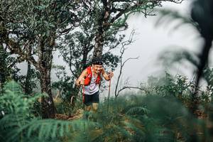 BIB: 
                            <button type="button" onclick="openModal(25326669)" class="btn btn-primary btn-sm float-right btn-popup" data-toggle="modal" data-target=".modal-high-quality">
                        <i class="fas fa-shopping-cart"></i> Add to Cart
                    </button>
                                            <button type="button" onclick="isThisMe(25326669, true)" class="btn btn-success btn-sm float-right btn-popup btn-isme hidden" data-toggle="tooltip" data-placement="bottom" title="นี่คือรูปของคุณใช่ไหม คลิกที่นี่เพื่อเอาเข้าอัลบั้ม">
                        <i class="fas fa-plus"></i> Add to album
                    </button>
                    <button type="button" onclick="isThisMe(25326669, false)" class="btn btn-warning btn-sm float-right btn-popup btn-isnotme hidden">
                        <i class="fas fa-ban"></i> Remove from album
                    </button>