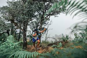 BIB: 
                            <button type="button" onclick="openModal(25326508)" class="btn btn-primary btn-sm float-right btn-popup" data-toggle="modal" data-target=".modal-high-quality">
                        <i class="fas fa-shopping-cart"></i> Add to Cart
                    </button>
                                            <button type="button" onclick="isThisMe(25326508, true)" class="btn btn-success btn-sm float-right btn-popup btn-isme hidden" data-toggle="tooltip" data-placement="bottom" title="นี่คือรูปของคุณใช่ไหม คลิกที่นี่เพื่อเอาเข้าอัลบั้ม">
                        <i class="fas fa-plus"></i> Add to album
                    </button>
                    <button type="button" onclick="isThisMe(25326508, false)" class="btn btn-warning btn-sm float-right btn-popup btn-isnotme hidden">
                        <i class="fas fa-ban"></i> Remove from album
                    </button>