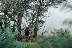 BIB: 
                            <button type="button" onclick="openModal(25326676)" class="btn btn-primary btn-sm float-right btn-popup" data-toggle="modal" data-target=".modal-high-quality">
                        <i class="fas fa-shopping-cart"></i> Add to Cart
                    </button>
                                            <button type="button" onclick="isThisMe(25326676, true)" class="btn btn-success btn-sm float-right btn-popup btn-isme hidden" data-toggle="tooltip" data-placement="bottom" title="นี่คือรูปของคุณใช่ไหม คลิกที่นี่เพื่อเอาเข้าอัลบั้ม">
                        <i class="fas fa-plus"></i> Add to album
                    </button>
                    <button type="button" onclick="isThisMe(25326676, false)" class="btn btn-warning btn-sm float-right btn-popup btn-isnotme hidden">
                        <i class="fas fa-ban"></i> Remove from album
                    </button>