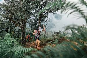 BIB: 
                            <button type="button" onclick="openModal(25326245)" class="btn btn-primary btn-sm float-right btn-popup" data-toggle="modal" data-target=".modal-high-quality">
                        <i class="fas fa-shopping-cart"></i> Add to Cart
                    </button>
                                            <button type="button" onclick="isThisMe(25326245, true)" class="btn btn-success btn-sm float-right btn-popup btn-isme hidden" data-toggle="tooltip" data-placement="bottom" title="นี่คือรูปของคุณใช่ไหม คลิกที่นี่เพื่อเอาเข้าอัลบั้ม">
                        <i class="fas fa-plus"></i> Add to album
                    </button>
                    <button type="button" onclick="isThisMe(25326245, false)" class="btn btn-warning btn-sm float-right btn-popup btn-isnotme hidden">
                        <i class="fas fa-ban"></i> Remove from album
                    </button>