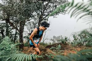 BIB: 
                            <button type="button" onclick="openModal(25326362)" class="btn btn-primary btn-sm float-right btn-popup" data-toggle="modal" data-target=".modal-high-quality">
                        <i class="fas fa-shopping-cart"></i> Add to Cart
                    </button>
                                            <button type="button" onclick="isThisMe(25326362, true)" class="btn btn-success btn-sm float-right btn-popup btn-isme hidden" data-toggle="tooltip" data-placement="bottom" title="นี่คือรูปของคุณใช่ไหม คลิกที่นี่เพื่อเอาเข้าอัลบั้ม">
                        <i class="fas fa-plus"></i> Add to album
                    </button>
                    <button type="button" onclick="isThisMe(25326362, false)" class="btn btn-warning btn-sm float-right btn-popup btn-isnotme hidden">
                        <i class="fas fa-ban"></i> Remove from album
                    </button>