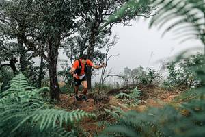 BIB: 
                            <button type="button" onclick="openModal(25327798)" class="btn btn-primary btn-sm float-right btn-popup" data-toggle="modal" data-target=".modal-high-quality">
                        <i class="fas fa-shopping-cart"></i> Add to Cart
                    </button>
                                            <button type="button" onclick="isThisMe(25327798, true)" class="btn btn-success btn-sm float-right btn-popup btn-isme hidden" data-toggle="tooltip" data-placement="bottom" title="นี่คือรูปของคุณใช่ไหม คลิกที่นี่เพื่อเอาเข้าอัลบั้ม">
                        <i class="fas fa-plus"></i> Add to album
                    </button>
                    <button type="button" onclick="isThisMe(25327798, false)" class="btn btn-warning btn-sm float-right btn-popup btn-isnotme hidden">
                        <i class="fas fa-ban"></i> Remove from album
                    </button>