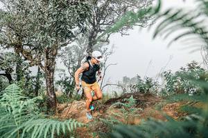 BIB: 
                            <button type="button" onclick="openModal(25326294)" class="btn btn-primary btn-sm float-right btn-popup" data-toggle="modal" data-target=".modal-high-quality">
                        <i class="fas fa-shopping-cart"></i> Add to Cart
                    </button>
                                            <button type="button" onclick="isThisMe(25326294, true)" class="btn btn-success btn-sm float-right btn-popup btn-isme hidden" data-toggle="tooltip" data-placement="bottom" title="นี่คือรูปของคุณใช่ไหม คลิกที่นี่เพื่อเอาเข้าอัลบั้ม">
                        <i class="fas fa-plus"></i> Add to album
                    </button>
                    <button type="button" onclick="isThisMe(25326294, false)" class="btn btn-warning btn-sm float-right btn-popup btn-isnotme hidden">
                        <i class="fas fa-ban"></i> Remove from album
                    </button>