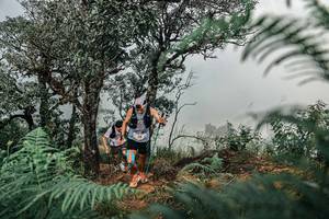 BIB: 
                            <button type="button" onclick="openModal(25326223)" class="btn btn-primary btn-sm float-right btn-popup" data-toggle="modal" data-target=".modal-high-quality">
                        <i class="fas fa-shopping-cart"></i> Add to Cart
                    </button>
                                            <button type="button" onclick="isThisMe(25326223, true)" class="btn btn-success btn-sm float-right btn-popup btn-isme hidden" data-toggle="tooltip" data-placement="bottom" title="นี่คือรูปของคุณใช่ไหม คลิกที่นี่เพื่อเอาเข้าอัลบั้ม">
                        <i class="fas fa-plus"></i> Add to album
                    </button>
                    <button type="button" onclick="isThisMe(25326223, false)" class="btn btn-warning btn-sm float-right btn-popup btn-isnotme hidden">
                        <i class="fas fa-ban"></i> Remove from album
                    </button>