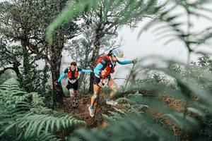 BIB: 
                            <button type="button" onclick="openModal(25327896)" class="btn btn-primary btn-sm float-right btn-popup" data-toggle="modal" data-target=".modal-high-quality">
                        <i class="fas fa-shopping-cart"></i> Add to Cart
                    </button>
                                            <button type="button" onclick="isThisMe(25327896, true)" class="btn btn-success btn-sm float-right btn-popup btn-isme hidden" data-toggle="tooltip" data-placement="bottom" title="นี่คือรูปของคุณใช่ไหม คลิกที่นี่เพื่อเอาเข้าอัลบั้ม">
                        <i class="fas fa-plus"></i> Add to album
                    </button>
                    <button type="button" onclick="isThisMe(25327896, false)" class="btn btn-warning btn-sm float-right btn-popup btn-isnotme hidden">
                        <i class="fas fa-ban"></i> Remove from album
                    </button>