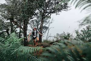 BIB: 
                            <button type="button" onclick="openModal(25327597)" class="btn btn-primary btn-sm float-right btn-popup" data-toggle="modal" data-target=".modal-high-quality">
                        <i class="fas fa-shopping-cart"></i> Add to Cart
                    </button>
                                            <button type="button" onclick="isThisMe(25327597, true)" class="btn btn-success btn-sm float-right btn-popup btn-isme hidden" data-toggle="tooltip" data-placement="bottom" title="นี่คือรูปของคุณใช่ไหม คลิกที่นี่เพื่อเอาเข้าอัลบั้ม">
                        <i class="fas fa-plus"></i> Add to album
                    </button>
                    <button type="button" onclick="isThisMe(25327597, false)" class="btn btn-warning btn-sm float-right btn-popup btn-isnotme hidden">
                        <i class="fas fa-ban"></i> Remove from album
                    </button>