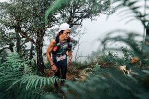 BIB: 
                            <button type="button" onclick="openModal(25328145)" class="btn btn-primary btn-sm float-right btn-popup" data-toggle="modal" data-target=".modal-high-quality">
                        <i class="fas fa-shopping-cart"></i> Add to Cart
                    </button>
                                            <button type="button" onclick="isThisMe(25328145, true)" class="btn btn-success btn-sm float-right btn-popup btn-isme hidden" data-toggle="tooltip" data-placement="bottom" title="นี่คือรูปของคุณใช่ไหม คลิกที่นี่เพื่อเอาเข้าอัลบั้ม">
                        <i class="fas fa-plus"></i> Add to album
                    </button>
                    <button type="button" onclick="isThisMe(25328145, false)" class="btn btn-warning btn-sm float-right btn-popup btn-isnotme hidden">
                        <i class="fas fa-ban"></i> Remove from album
                    </button>