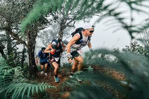 BIB: 
                            <button type="button" onclick="openModal(25328118)" class="btn btn-primary btn-sm float-right btn-popup" data-toggle="modal" data-target=".modal-high-quality">
                        <i class="fas fa-shopping-cart"></i> Add to Cart
                    </button>
                                            <button type="button" onclick="isThisMe(25328118, true)" class="btn btn-success btn-sm float-right btn-popup btn-isme hidden" data-toggle="tooltip" data-placement="bottom" title="นี่คือรูปของคุณใช่ไหม คลิกที่นี่เพื่อเอาเข้าอัลบั้ม">
                        <i class="fas fa-plus"></i> Add to album
                    </button>
                    <button type="button" onclick="isThisMe(25328118, false)" class="btn btn-warning btn-sm float-right btn-popup btn-isnotme hidden">
                        <i class="fas fa-ban"></i> Remove from album
                    </button>