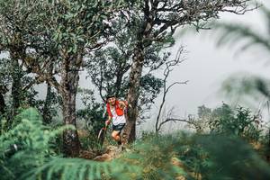 BIB: 
                            <button type="button" onclick="openModal(25326638)" class="btn btn-primary btn-sm float-right btn-popup" data-toggle="modal" data-target=".modal-high-quality">
                        <i class="fas fa-shopping-cart"></i> Add to Cart
                    </button>
                                            <button type="button" onclick="isThisMe(25326638, true)" class="btn btn-success btn-sm float-right btn-popup btn-isme hidden" data-toggle="tooltip" data-placement="bottom" title="นี่คือรูปของคุณใช่ไหม คลิกที่นี่เพื่อเอาเข้าอัลบั้ม">
                        <i class="fas fa-plus"></i> Add to album
                    </button>
                    <button type="button" onclick="isThisMe(25326638, false)" class="btn btn-warning btn-sm float-right btn-popup btn-isnotme hidden">
                        <i class="fas fa-ban"></i> Remove from album
                    </button>