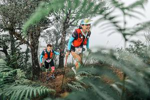 BIB: 
                            <button type="button" onclick="openModal(25327901)" class="btn btn-primary btn-sm float-right btn-popup" data-toggle="modal" data-target=".modal-high-quality">
                        <i class="fas fa-shopping-cart"></i> Add to Cart
                    </button>
                                            <button type="button" onclick="isThisMe(25327901, true)" class="btn btn-success btn-sm float-right btn-popup btn-isme hidden" data-toggle="tooltip" data-placement="bottom" title="นี่คือรูปของคุณใช่ไหม คลิกที่นี่เพื่อเอาเข้าอัลบั้ม">
                        <i class="fas fa-plus"></i> Add to album
                    </button>
                    <button type="button" onclick="isThisMe(25327901, false)" class="btn btn-warning btn-sm float-right btn-popup btn-isnotme hidden">
                        <i class="fas fa-ban"></i> Remove from album
                    </button>