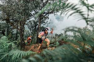 BIB: 
                            <button type="button" onclick="openModal(25326252)" class="btn btn-primary btn-sm float-right btn-popup" data-toggle="modal" data-target=".modal-high-quality">
                        <i class="fas fa-shopping-cart"></i> Add to Cart
                    </button>
                                            <button type="button" onclick="isThisMe(25326252, true)" class="btn btn-success btn-sm float-right btn-popup btn-isme hidden" data-toggle="tooltip" data-placement="bottom" title="นี่คือรูปของคุณใช่ไหม คลิกที่นี่เพื่อเอาเข้าอัลบั้ม">
                        <i class="fas fa-plus"></i> Add to album
                    </button>
                    <button type="button" onclick="isThisMe(25326252, false)" class="btn btn-warning btn-sm float-right btn-popup btn-isnotme hidden">
                        <i class="fas fa-ban"></i> Remove from album
                    </button>