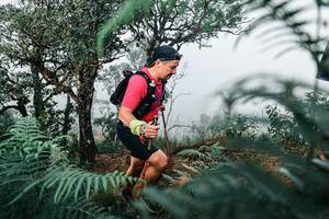 BIB: 
                            <button type="button" onclick="openModal(25328162)" class="btn btn-primary btn-sm float-right btn-popup" data-toggle="modal" data-target=".modal-high-quality">
                        <i class="fas fa-shopping-cart"></i> Add to Cart
                    </button>
                                            <button type="button" onclick="isThisMe(25328162, true)" class="btn btn-success btn-sm float-right btn-popup btn-isme hidden" data-toggle="tooltip" data-placement="bottom" title="นี่คือรูปของคุณใช่ไหม คลิกที่นี่เพื่อเอาเข้าอัลบั้ม">
                        <i class="fas fa-plus"></i> Add to album
                    </button>
                    <button type="button" onclick="isThisMe(25328162, false)" class="btn btn-warning btn-sm float-right btn-popup btn-isnotme hidden">
                        <i class="fas fa-ban"></i> Remove from album
                    </button>