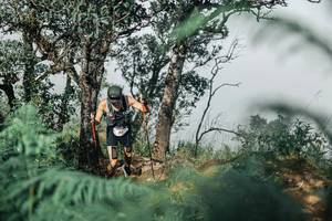 BIB: 
                            <button type="button" onclick="openModal(25326809)" class="btn btn-primary btn-sm float-right btn-popup" data-toggle="modal" data-target=".modal-high-quality">
                        <i class="fas fa-shopping-cart"></i> Add to Cart
                    </button>
                                            <button type="button" onclick="isThisMe(25326809, true)" class="btn btn-success btn-sm float-right btn-popup btn-isme hidden" data-toggle="tooltip" data-placement="bottom" title="นี่คือรูปของคุณใช่ไหม คลิกที่นี่เพื่อเอาเข้าอัลบั้ม">
                        <i class="fas fa-plus"></i> Add to album
                    </button>
                    <button type="button" onclick="isThisMe(25326809, false)" class="btn btn-warning btn-sm float-right btn-popup btn-isnotme hidden">
                        <i class="fas fa-ban"></i> Remove from album
                    </button>