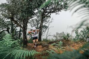 BIB: 
                            <button type="button" onclick="openModal(25327699)" class="btn btn-primary btn-sm float-right btn-popup" data-toggle="modal" data-target=".modal-high-quality">
                        <i class="fas fa-shopping-cart"></i> Add to Cart
                    </button>
                                            <button type="button" onclick="isThisMe(25327699, true)" class="btn btn-success btn-sm float-right btn-popup btn-isme hidden" data-toggle="tooltip" data-placement="bottom" title="นี่คือรูปของคุณใช่ไหม คลิกที่นี่เพื่อเอาเข้าอัลบั้ม">
                        <i class="fas fa-plus"></i> Add to album
                    </button>
                    <button type="button" onclick="isThisMe(25327699, false)" class="btn btn-warning btn-sm float-right btn-popup btn-isnotme hidden">
                        <i class="fas fa-ban"></i> Remove from album
                    </button>