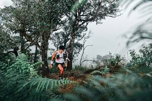 BIB: 
                            <button type="button" onclick="openModal(25328189)" class="btn btn-primary btn-sm float-right btn-popup" data-toggle="modal" data-target=".modal-high-quality">
                        <i class="fas fa-shopping-cart"></i> Add to Cart
                    </button>
                                            <button type="button" onclick="isThisMe(25328189, true)" class="btn btn-success btn-sm float-right btn-popup btn-isme hidden" data-toggle="tooltip" data-placement="bottom" title="นี่คือรูปของคุณใช่ไหม คลิกที่นี่เพื่อเอาเข้าอัลบั้ม">
                        <i class="fas fa-plus"></i> Add to album
                    </button>
                    <button type="button" onclick="isThisMe(25328189, false)" class="btn btn-warning btn-sm float-right btn-popup btn-isnotme hidden">
                        <i class="fas fa-ban"></i> Remove from album
                    </button>