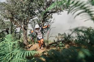 BIB: 
                            <button type="button" onclick="openModal(25326213)" class="btn btn-primary btn-sm float-right btn-popup" data-toggle="modal" data-target=".modal-high-quality">
                        <i class="fas fa-shopping-cart"></i> Add to Cart
                    </button>
                                            <button type="button" onclick="isThisMe(25326213, true)" class="btn btn-success btn-sm float-right btn-popup btn-isme hidden" data-toggle="tooltip" data-placement="bottom" title="นี่คือรูปของคุณใช่ไหม คลิกที่นี่เพื่อเอาเข้าอัลบั้ม">
                        <i class="fas fa-plus"></i> Add to album
                    </button>
                    <button type="button" onclick="isThisMe(25326213, false)" class="btn btn-warning btn-sm float-right btn-popup btn-isnotme hidden">
                        <i class="fas fa-ban"></i> Remove from album
                    </button>