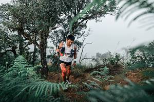 BIB: 
                            <button type="button" onclick="openModal(25328196)" class="btn btn-primary btn-sm float-right btn-popup" data-toggle="modal" data-target=".modal-high-quality">
                        <i class="fas fa-shopping-cart"></i> Add to Cart
                    </button>
                                            <button type="button" onclick="isThisMe(25328196, true)" class="btn btn-success btn-sm float-right btn-popup btn-isme hidden" data-toggle="tooltip" data-placement="bottom" title="นี่คือรูปของคุณใช่ไหม คลิกที่นี่เพื่อเอาเข้าอัลบั้ม">
                        <i class="fas fa-plus"></i> Add to album
                    </button>
                    <button type="button" onclick="isThisMe(25328196, false)" class="btn btn-warning btn-sm float-right btn-popup btn-isnotme hidden">
                        <i class="fas fa-ban"></i> Remove from album
                    </button>