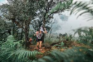 BIB: 
                            <button type="button" onclick="openModal(25326238)" class="btn btn-primary btn-sm float-right btn-popup" data-toggle="modal" data-target=".modal-high-quality">
                        <i class="fas fa-shopping-cart"></i> Add to Cart
                    </button>
                                            <button type="button" onclick="isThisMe(25326238, true)" class="btn btn-success btn-sm float-right btn-popup btn-isme hidden" data-toggle="tooltip" data-placement="bottom" title="นี่คือรูปของคุณใช่ไหม คลิกที่นี่เพื่อเอาเข้าอัลบั้ม">
                        <i class="fas fa-plus"></i> Add to album
                    </button>
                    <button type="button" onclick="isThisMe(25326238, false)" class="btn btn-warning btn-sm float-right btn-popup btn-isnotme hidden">
                        <i class="fas fa-ban"></i> Remove from album
                    </button>