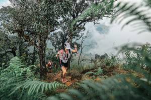 BIB: 
                            <button type="button" onclick="openModal(25326244)" class="btn btn-primary btn-sm float-right btn-popup" data-toggle="modal" data-target=".modal-high-quality">
                        <i class="fas fa-shopping-cart"></i> Add to Cart
                    </button>
                                            <button type="button" onclick="isThisMe(25326244, true)" class="btn btn-success btn-sm float-right btn-popup btn-isme hidden" data-toggle="tooltip" data-placement="bottom" title="นี่คือรูปของคุณใช่ไหม คลิกที่นี่เพื่อเอาเข้าอัลบั้ม">
                        <i class="fas fa-plus"></i> Add to album
                    </button>
                    <button type="button" onclick="isThisMe(25326244, false)" class="btn btn-warning btn-sm float-right btn-popup btn-isnotme hidden">
                        <i class="fas fa-ban"></i> Remove from album
                    </button>