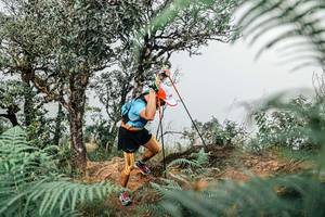 BIB: 
                            <button type="button" onclick="openModal(25326161)" class="btn btn-primary btn-sm float-right btn-popup" data-toggle="modal" data-target=".modal-high-quality">
                        <i class="fas fa-shopping-cart"></i> Add to Cart
                    </button>
                                            <button type="button" onclick="isThisMe(25326161, true)" class="btn btn-success btn-sm float-right btn-popup btn-isme hidden" data-toggle="tooltip" data-placement="bottom" title="นี่คือรูปของคุณใช่ไหม คลิกที่นี่เพื่อเอาเข้าอัลบั้ม">
                        <i class="fas fa-plus"></i> Add to album
                    </button>
                    <button type="button" onclick="isThisMe(25326161, false)" class="btn btn-warning btn-sm float-right btn-popup btn-isnotme hidden">
                        <i class="fas fa-ban"></i> Remove from album
                    </button>