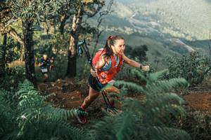 BIB: 
                            <button type="button" onclick="openModal(25340082)" class="btn btn-primary btn-sm float-right btn-popup" data-toggle="modal" data-target=".modal-high-quality">
                        <i class="fas fa-shopping-cart"></i> Add to Cart
                    </button>
                                            <button type="button" onclick="isThisMe(25340082, true)" class="btn btn-success btn-sm float-right btn-popup btn-isme hidden" data-toggle="tooltip" data-placement="bottom" title="นี่คือรูปของคุณใช่ไหม คลิกที่นี่เพื่อเอาเข้าอัลบั้ม">
                        <i class="fas fa-plus"></i> Add to album
                    </button>
                    <button type="button" onclick="isThisMe(25340082, false)" class="btn btn-warning btn-sm float-right btn-popup btn-isnotme hidden">
                        <i class="fas fa-ban"></i> Remove from album
                    </button>