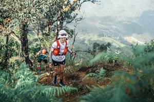 BIB: 
                            <button type="button" onclick="openModal(25338638)" class="btn btn-primary btn-sm float-right btn-popup" data-toggle="modal" data-target=".modal-high-quality">
                        <i class="fas fa-shopping-cart"></i> Add to Cart
                    </button>
                                            <button type="button" onclick="isThisMe(25338638, true)" class="btn btn-success btn-sm float-right btn-popup btn-isme hidden" data-toggle="tooltip" data-placement="bottom" title="นี่คือรูปของคุณใช่ไหม คลิกที่นี่เพื่อเอาเข้าอัลบั้ม">
                        <i class="fas fa-plus"></i> Add to album
                    </button>
                    <button type="button" onclick="isThisMe(25338638, false)" class="btn btn-warning btn-sm float-right btn-popup btn-isnotme hidden">
                        <i class="fas fa-ban"></i> Remove from album
                    </button>