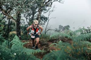 BIB: 
                            <button type="button" onclick="openModal(25337877)" class="btn btn-primary btn-sm float-right btn-popup" data-toggle="modal" data-target=".modal-high-quality">
                        <i class="fas fa-shopping-cart"></i> Add to Cart
                    </button>
                                            <button type="button" onclick="isThisMe(25337877, true)" class="btn btn-success btn-sm float-right btn-popup btn-isme hidden" data-toggle="tooltip" data-placement="bottom" title="นี่คือรูปของคุณใช่ไหม คลิกที่นี่เพื่อเอาเข้าอัลบั้ม">
                        <i class="fas fa-plus"></i> Add to album
                    </button>
                    <button type="button" onclick="isThisMe(25337877, false)" class="btn btn-warning btn-sm float-right btn-popup btn-isnotme hidden">
                        <i class="fas fa-ban"></i> Remove from album
                    </button>