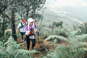 BIB: 
                            <button type="button" onclick="openModal(25339324)" class="btn btn-primary btn-sm float-right btn-popup" data-toggle="modal" data-target=".modal-high-quality">
                        <i class="fas fa-shopping-cart"></i> Add to Cart
                    </button>
                                            <button type="button" onclick="isThisMe(25339324, true)" class="btn btn-success btn-sm float-right btn-popup btn-isme hidden" data-toggle="tooltip" data-placement="bottom" title="นี่คือรูปของคุณใช่ไหม คลิกที่นี่เพื่อเอาเข้าอัลบั้ม">
                        <i class="fas fa-plus"></i> Add to album
                    </button>
                    <button type="button" onclick="isThisMe(25339324, false)" class="btn btn-warning btn-sm float-right btn-popup btn-isnotme hidden">
                        <i class="fas fa-ban"></i> Remove from album
                    </button>