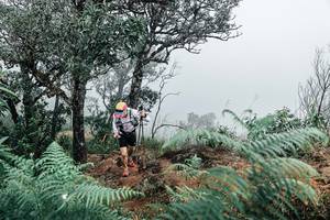 BIB: 
                            <button type="button" onclick="openModal(25329536)" class="btn btn-primary btn-sm float-right btn-popup" data-toggle="modal" data-target=".modal-high-quality">
                        <i class="fas fa-shopping-cart"></i> Add to Cart
                    </button>
                                            <button type="button" onclick="isThisMe(25329536, true)" class="btn btn-success btn-sm float-right btn-popup btn-isme hidden" data-toggle="tooltip" data-placement="bottom" title="นี่คือรูปของคุณใช่ไหม คลิกที่นี่เพื่อเอาเข้าอัลบั้ม">
                        <i class="fas fa-plus"></i> Add to album
                    </button>
                    <button type="button" onclick="isThisMe(25329536, false)" class="btn btn-warning btn-sm float-right btn-popup btn-isnotme hidden">
                        <i class="fas fa-ban"></i> Remove from album
                    </button>