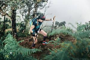 BIB: 
                            <button type="button" onclick="openModal(25337911)" class="btn btn-primary btn-sm float-right btn-popup" data-toggle="modal" data-target=".modal-high-quality">
                        <i class="fas fa-shopping-cart"></i> Add to Cart
                    </button>
                                            <button type="button" onclick="isThisMe(25337911, true)" class="btn btn-success btn-sm float-right btn-popup btn-isme hidden" data-toggle="tooltip" data-placement="bottom" title="นี่คือรูปของคุณใช่ไหม คลิกที่นี่เพื่อเอาเข้าอัลบั้ม">
                        <i class="fas fa-plus"></i> Add to album
                    </button>
                    <button type="button" onclick="isThisMe(25337911, false)" class="btn btn-warning btn-sm float-right btn-popup btn-isnotme hidden">
                        <i class="fas fa-ban"></i> Remove from album
                    </button>