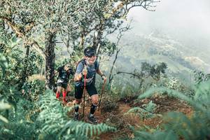 BIB: 
                            <button type="button" onclick="openModal(25338351)" class="btn btn-primary btn-sm float-right btn-popup" data-toggle="modal" data-target=".modal-high-quality">
                        <i class="fas fa-shopping-cart"></i> Add to Cart
                    </button>
                                            <button type="button" onclick="isThisMe(25338351, true)" class="btn btn-success btn-sm float-right btn-popup btn-isme hidden" data-toggle="tooltip" data-placement="bottom" title="นี่คือรูปของคุณใช่ไหม คลิกที่นี่เพื่อเอาเข้าอัลบั้ม">
                        <i class="fas fa-plus"></i> Add to album
                    </button>
                    <button type="button" onclick="isThisMe(25338351, false)" class="btn btn-warning btn-sm float-right btn-popup btn-isnotme hidden">
                        <i class="fas fa-ban"></i> Remove from album
                    </button>