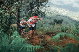 BIB: 
                            <button type="button" onclick="openModal(25338735)" class="btn btn-primary btn-sm float-right btn-popup" data-toggle="modal" data-target=".modal-high-quality">
                        <i class="fas fa-shopping-cart"></i> Add to Cart
                    </button>
                                            <button type="button" onclick="isThisMe(25338735, true)" class="btn btn-success btn-sm float-right btn-popup btn-isme hidden" data-toggle="tooltip" data-placement="bottom" title="นี่คือรูปของคุณใช่ไหม คลิกที่นี่เพื่อเอาเข้าอัลบั้ม">
                        <i class="fas fa-plus"></i> Add to album
                    </button>
                    <button type="button" onclick="isThisMe(25338735, false)" class="btn btn-warning btn-sm float-right btn-popup btn-isnotme hidden">
                        <i class="fas fa-ban"></i> Remove from album
                    </button>