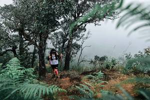 BIB: 
                            <button type="button" onclick="openModal(25329826)" class="btn btn-primary btn-sm float-right btn-popup" data-toggle="modal" data-target=".modal-high-quality">
                        <i class="fas fa-shopping-cart"></i> Add to Cart
                    </button>
                                            <button type="button" onclick="isThisMe(25329826, true)" class="btn btn-success btn-sm float-right btn-popup btn-isme hidden" data-toggle="tooltip" data-placement="bottom" title="นี่คือรูปของคุณใช่ไหม คลิกที่นี่เพื่อเอาเข้าอัลบั้ม">
                        <i class="fas fa-plus"></i> Add to album
                    </button>
                    <button type="button" onclick="isThisMe(25329826, false)" class="btn btn-warning btn-sm float-right btn-popup btn-isnotme hidden">
                        <i class="fas fa-ban"></i> Remove from album
                    </button>