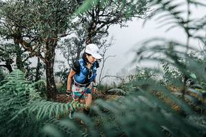 BIB: 
                            <button type="button" onclick="openModal(25328870)" class="btn btn-primary btn-sm float-right btn-popup" data-toggle="modal" data-target=".modal-high-quality">
                        <i class="fas fa-shopping-cart"></i> Add to Cart
                    </button>
                                            <button type="button" onclick="isThisMe(25328870, true)" class="btn btn-success btn-sm float-right btn-popup btn-isme hidden" data-toggle="tooltip" data-placement="bottom" title="นี่คือรูปของคุณใช่ไหม คลิกที่นี่เพื่อเอาเข้าอัลบั้ม">
                        <i class="fas fa-plus"></i> Add to album
                    </button>
                    <button type="button" onclick="isThisMe(25328870, false)" class="btn btn-warning btn-sm float-right btn-popup btn-isnotme hidden">
                        <i class="fas fa-ban"></i> Remove from album
                    </button>