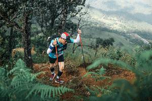 BIB: 
                            <button type="button" onclick="openModal(25338865)" class="btn btn-primary btn-sm float-right btn-popup" data-toggle="modal" data-target=".modal-high-quality">
                        <i class="fas fa-shopping-cart"></i> Add to Cart
                    </button>
                                            <button type="button" onclick="isThisMe(25338865, true)" class="btn btn-success btn-sm float-right btn-popup btn-isme hidden" data-toggle="tooltip" data-placement="bottom" title="นี่คือรูปของคุณใช่ไหม คลิกที่นี่เพื่อเอาเข้าอัลบั้ม">
                        <i class="fas fa-plus"></i> Add to album
                    </button>
                    <button type="button" onclick="isThisMe(25338865, false)" class="btn btn-warning btn-sm float-right btn-popup btn-isnotme hidden">
                        <i class="fas fa-ban"></i> Remove from album
                    </button>